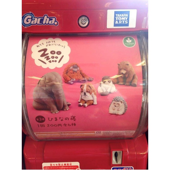 figure-miniature-zoo-zoo-zoo-ฟิกเกอร์แมว-หมี-หมา-ลิง