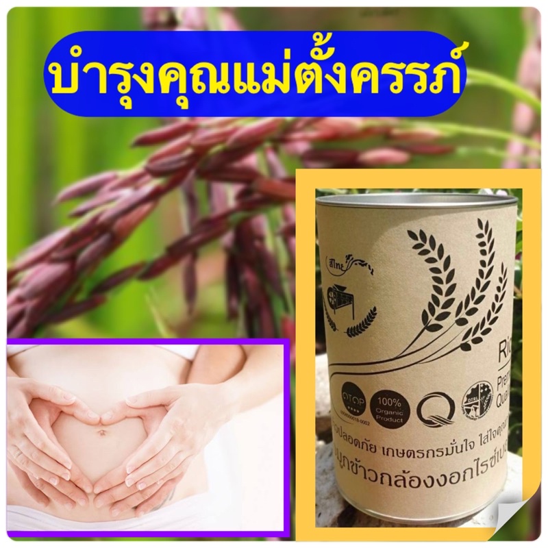 ภาพสินค้าโปร 2 กป.จมูกข้าวกล้องงอก ไรซ์เบอร์รี่ จากร้าน veera_15 บน Shopee ภาพที่ 1