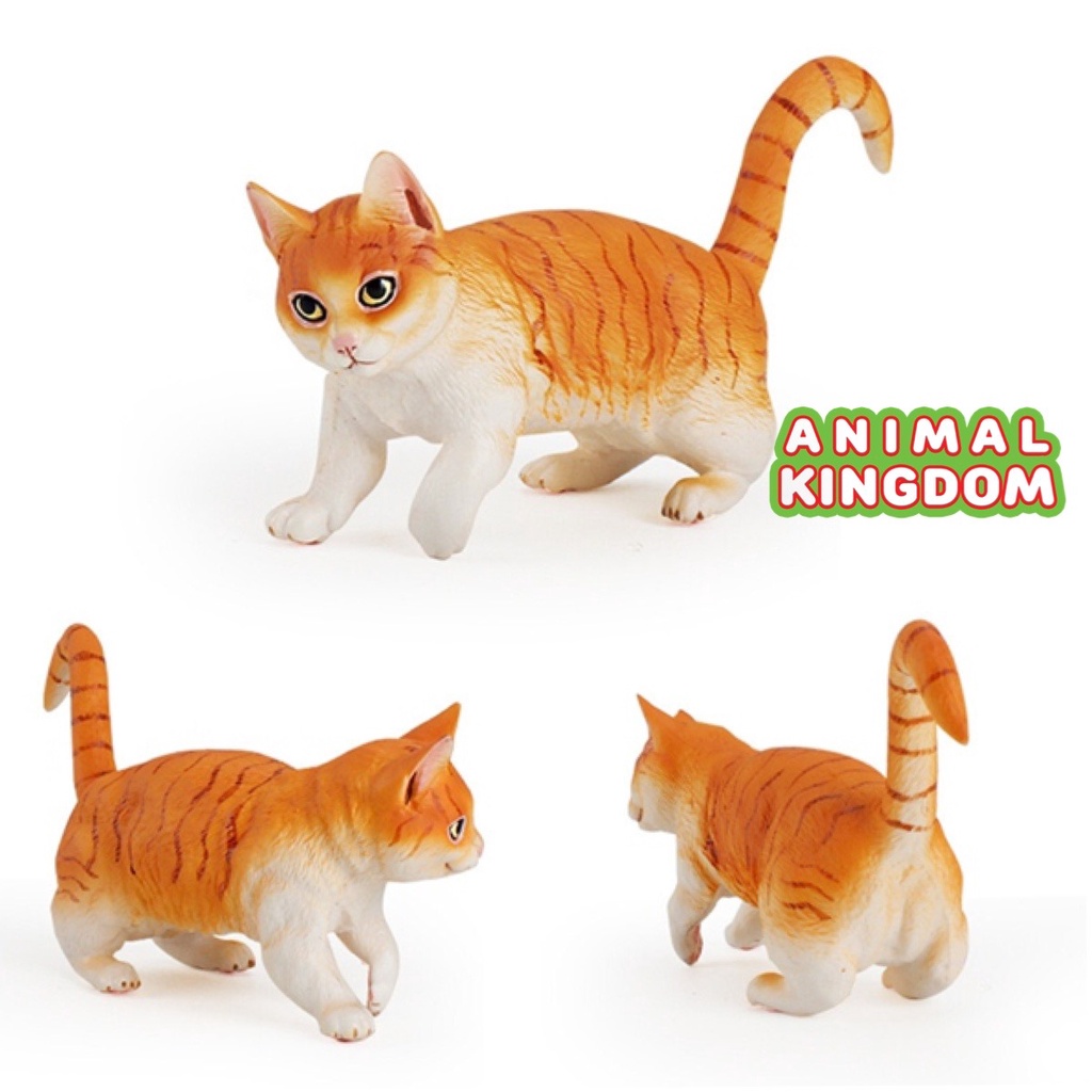 animal-kingdom-โมเดลสัตว์-แมว-ทอง-ขนาด-17-50-cm-จากหาดใหญ่