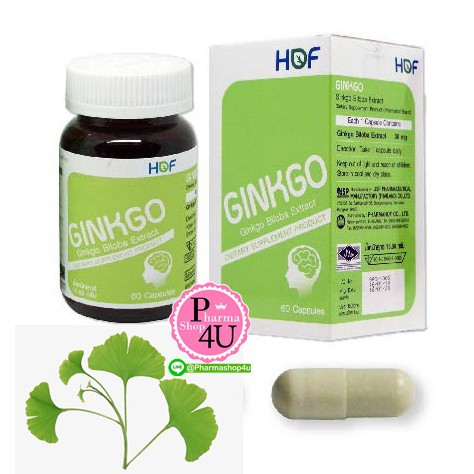 ภาพหน้าปกสินค้าPharmahof hof Ginkgo สารสกัดใบแป๊ะก๊วย 60 เม็ด Y-GInk วาย กิง Hof