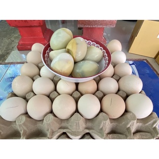 ภาพขนาดย่อของภาพหน้าปกสินค้าไข่ข้าว ไข่ตัว นึ่งสุกพร้อมทาน แผงละ100บาท (ไข่ฮ้างฮัง) จากร้าน bellrada168 บน Shopee