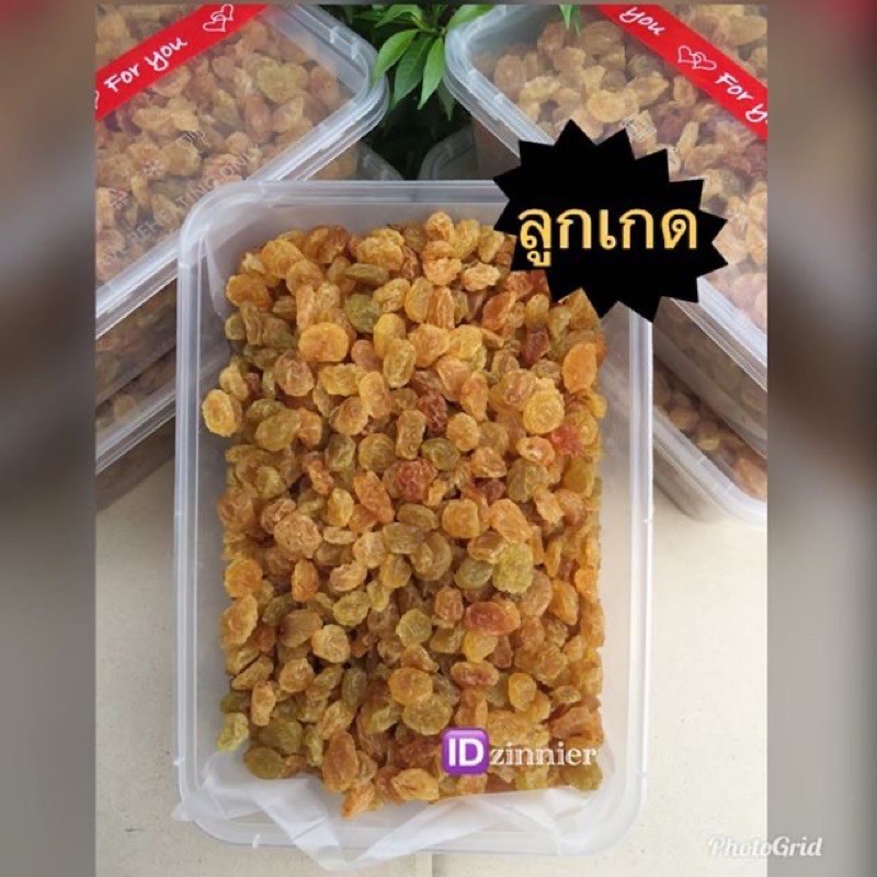 ลูกเกดเหลืองทอง-อร่อยคุ้มจนต้องลอง