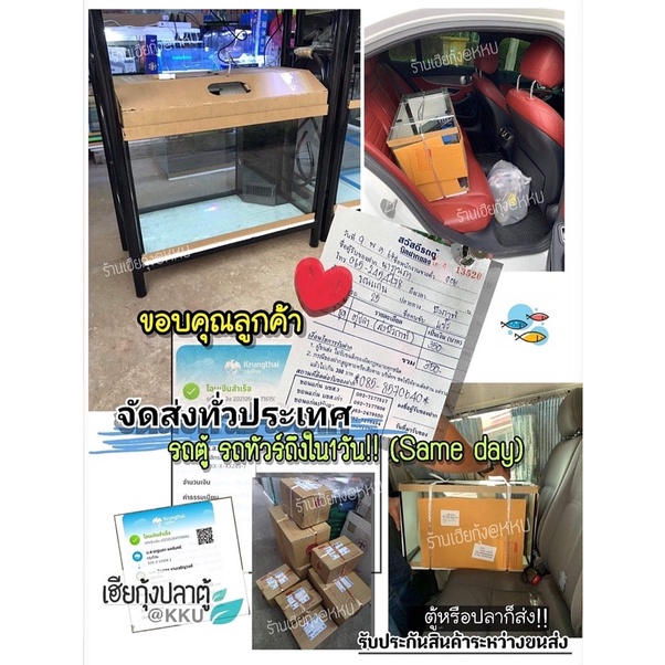 ตู้ปลา-24-นิ้ว-มาตรฐาน-ส่งฟรี-พร้อมส่ง