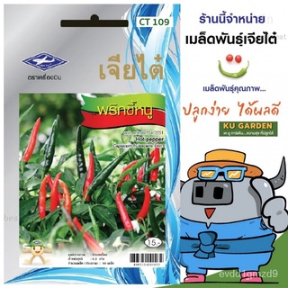 CHIATAI  ผักซอง เจียไต๋ พริกขี้หนู O109 ประมาณ 90 เมล็ด เมล็ดพันธุ์ผัก พริก เมล็ดผัก เมล็ดพืช ผักสวนครัวSunflowerWhiteGr