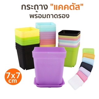 กระถางแคคตัส (พร้อมถาดรอง) ขนาด7x7Cm ( 7สี ) กระถางต้นไม้พลาสติก สำหรับ กระบองเพชร หรือ ไม้ประดับต่างๆ สวย ระบายน้ำได้ดี