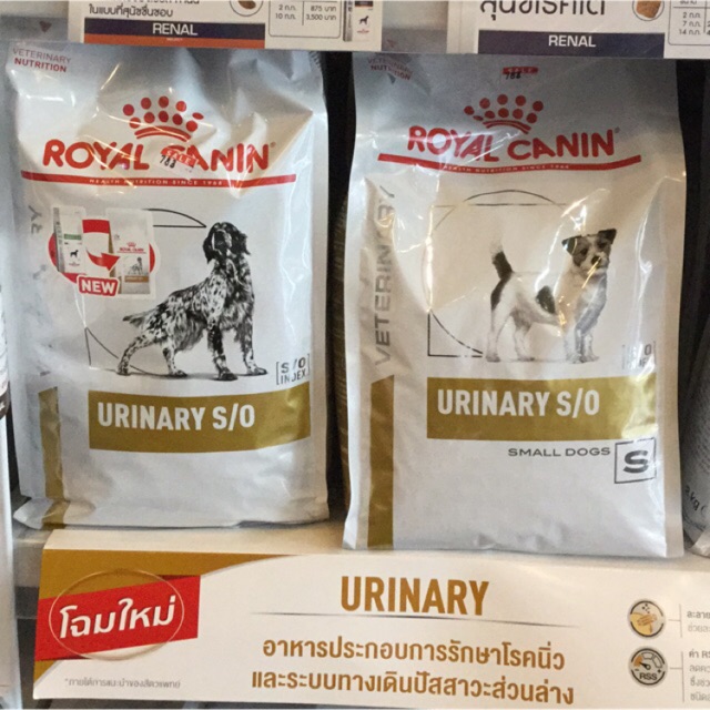 royal-canin-urinary-s-o-อาหารเม็ดสำหรับสุนัขที่เป็นโรคนิ่ว-และกระเพาะปัสสาวะอักเสบ-ช่วยสลายนิ่วสตรูไวท์