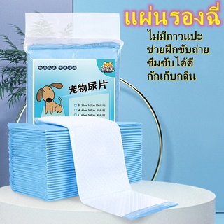 Pet Cool mat ที่นอนเจลเย็น สำหรับตว์เลี้ยง แบบหนา เย็นสบาย แผ่นเจลเย็น ที่นอนเย็น แผ่นทำความเย็น ที่นอนสัตว์เลี้ยง