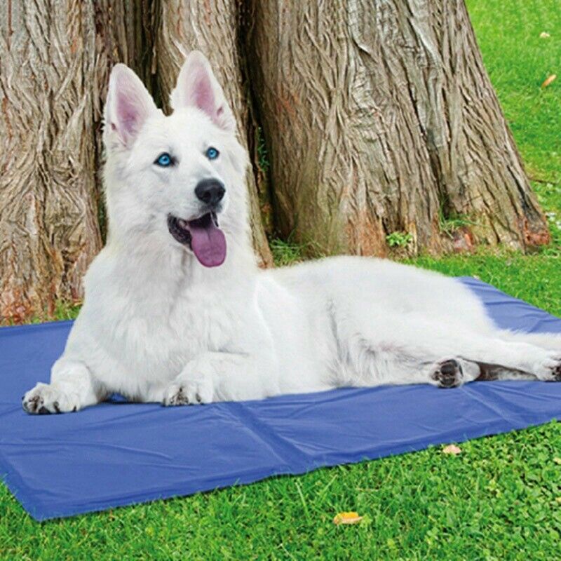 new-pet-cool-mat-ที่นอนเจลเย็นสำหรับสัตว์เลี้ยง-แผ่นเจลเย็น-แผ่นระบายความร้อน