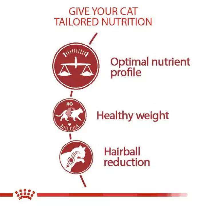 royal-canin-regular-fit32-4kg-ราคาพิเศษค่ะขนส่งตามระบบเลือกให้ค่ะ