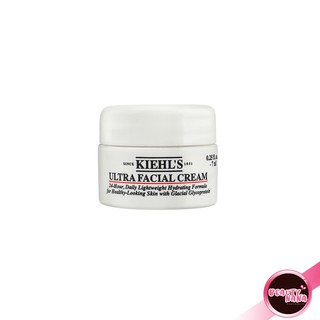 ภาพย่อรูปภาพสินค้าแรกของKIEHL'S Ultra Facial Cream ขนาด 7 ml