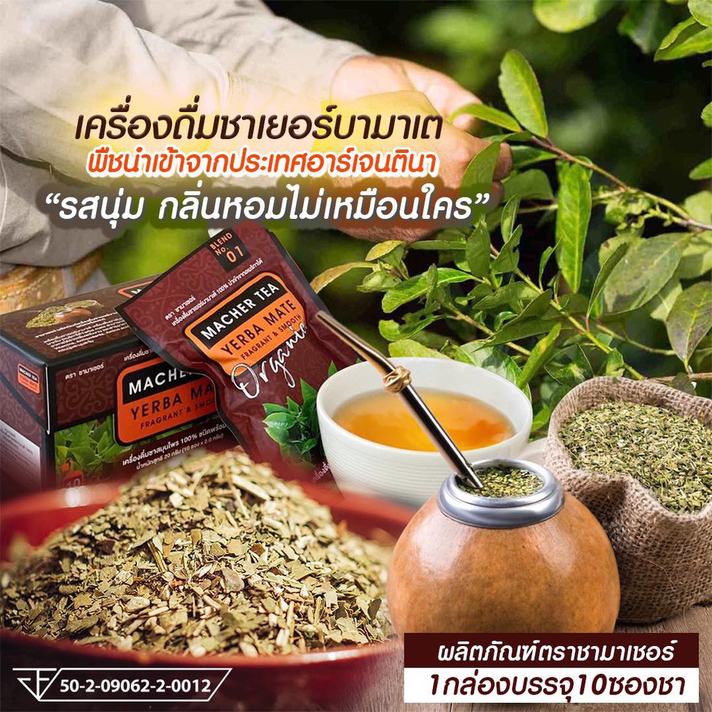 โปรพิเศษ-4-แถม-2-ชามาเชอร์-ชามาเต-macher-tea-yerba-mate-macher-tea-ชามาเชอร์-มาเชอรี่-เยอร์-บามาเต-ลดความอยากอาหาร