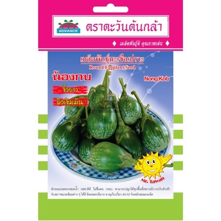 เมล็ดพันธุ์ มะเขือเปราะ น้องกบ 1 กรัม/ซอง ตราตะวันต้นกล้า