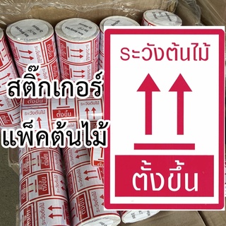 สติ๊กเกอร์แปะกล่องส่งต้นไม้ สติ๊กเกอร์ติดกล่องต้นไม้ ใช้แพคต้นไม้ ระวังต้นไม้ ตั้งขึ้น เทปกาวแพคต้นไม้