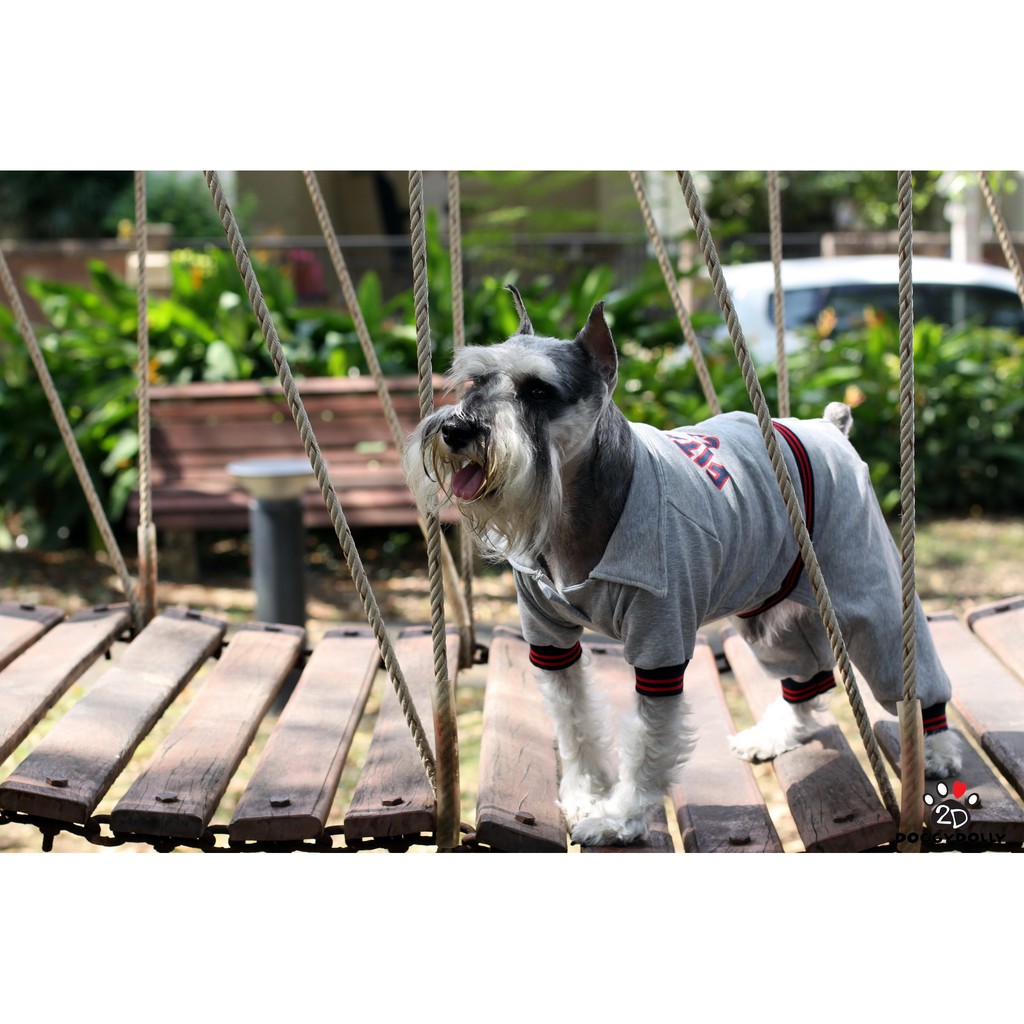 pet-cloths-doggydolly-เสื้อผ้าแฟชั่น-สัตว์เลี้ยง-หมาแมว-ชุดกางเกง-สี่ขา-fitness-กันหนาว-ใส่นอน-winter-ไซส์1-9โล-drf003