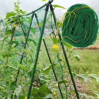 scrog net ตาข่ายปลูกผัก ตาข่ายไม้เลื้อย ตาข่ายไนลอน ตาข่ายทำค้างผักเลื้อย เน็ตตาข่าย ตาข่ายHDPE ตาข่ายไนล่อน Nylon net
