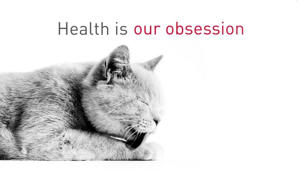 royal-canin-adult-รอยัลคานิน-อาหารแมวโตตามสายพันธุ์-persian-ขนาด-4kg