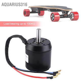 Aquarius316 ฮับสกู๊ตเตอร์ไฟฟ้าพลังแรงกันน้ำกันฝุ่นมอเตอร์ไร้แปรง 170KV 3000W