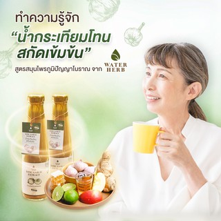 น้ำขิงและกระเทียมผสมน้ำผึ่ง  Water Herb เครื่องดื่มสมุนไพรบำรุงสุขภาพ บรรจุ 300ml จำนวน 2 ขวด