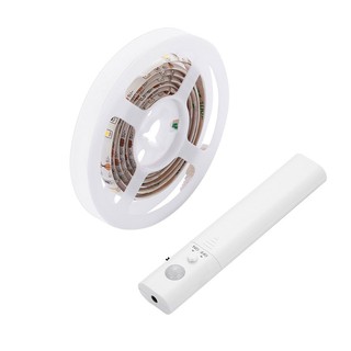 NIGHT LIGHT LED RIN STRIP 2.4 W WARM WHITE ไฟไนท์ไลท์ LED RIN STRIP 2.4 วัตต์ WARM WHITE แบตเตอรี่แห้ง ไฟฉายและไฟฉุกเฉิน