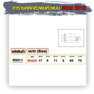 ภาพขนาดย่อของภาพหน้าปกสินค้าสลักตัวพินหัวแบน สแตนเลส 304 (Steel Clevis Pin Stainlass Steel) สลักใส่ปิ๊นหัวแบน ขนาด M10 - M12 จากร้าน suwapatlauhavakul บน Shopee ภาพที่ 2