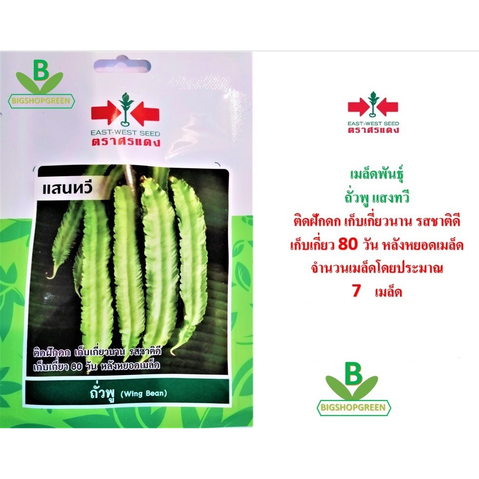 5-ฟรี-1-คละได้-เมล็ดพันธุ์-ถั่วพู-แสนทวี-ตรา-ศรแดง-เมล็ดผัก-เมล็ดพันธุ์พืช-เมล็ดพืช-เมล็ดพันธุ์ผัก-ผักสวนครัว