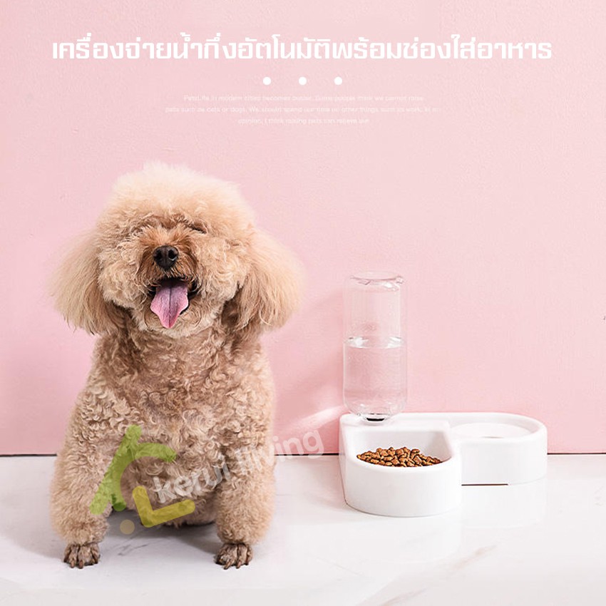allsking-ชามให้อาหารและน้ำ-ชามให้อาหารแบบคู่-ถ้วยอาหารและน้ำ-ที่ให้อาหารและน้ำสัตว์เลี้ยง-ชามอาหาร2ระบบ