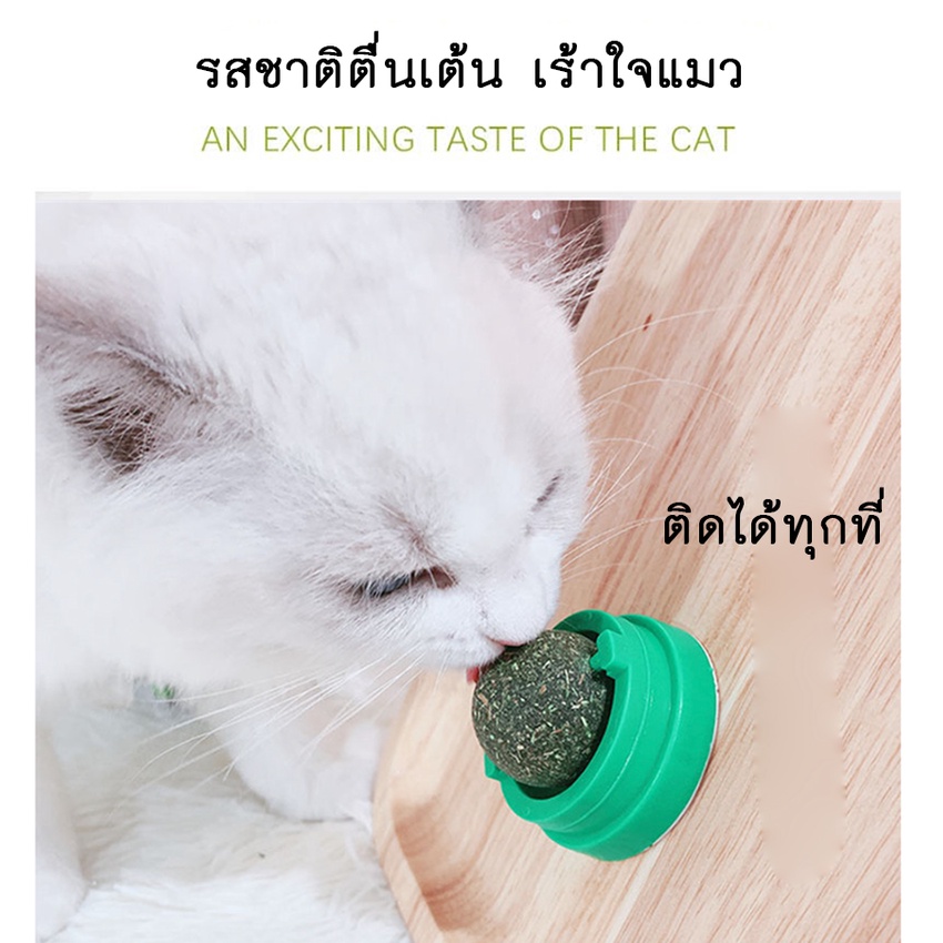 al-258-แคทนิปบอล-catnip-ball-กัญชาแมว-ขนมแมว-ของเล่นแมวเลีย-แปะกำแพง-ball-herb-พร้อมส่ง