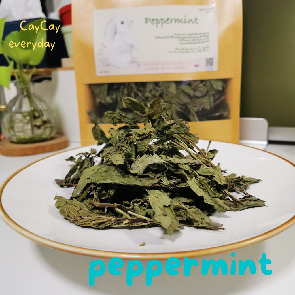 caycay-peppermint-ใบมิ้นท์