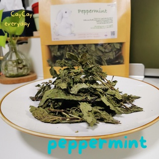 CayCay Peppermint ใบมิ้นท์