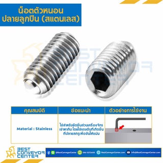 สกรูตัวหนอนปลายลูกปืน สแตนเลส  Spring Ball Plunger Socket Screw