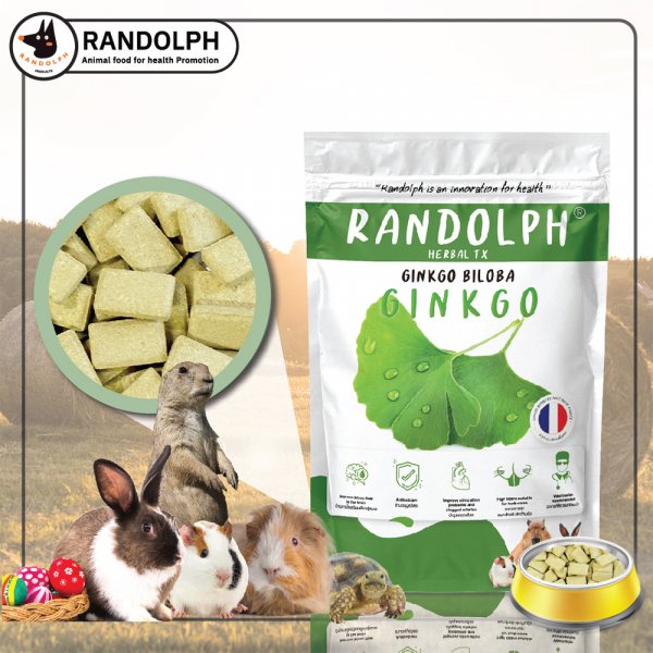 randolph-แรนดอล์ฟ-เฮอเบิลทีเอ็กซ์-กิงโกะ-บิโลบา-ป้องกันการอุดตันของหลอดเลือด-แบ่งขาย-6-เม็ด