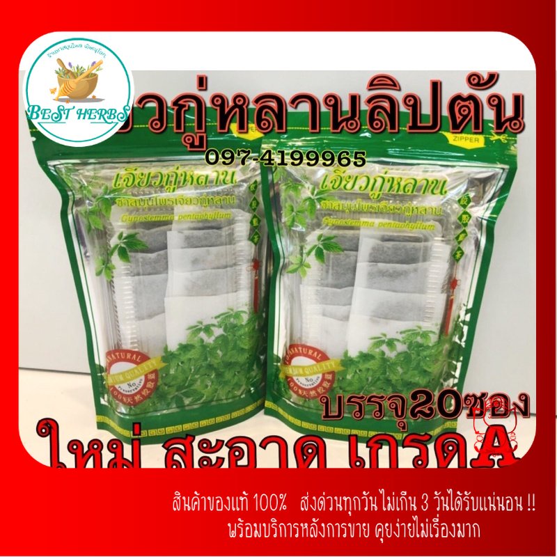 bestherbs-ชาเจียวกู่หลาน-เกรดa-เกรดดี-ชาคุณภาพดีเยี่ยม-ชนิดบรรจุซอง-1ห่อมี-20-ซอง-ใหม่สะอาด-พร้อมส่งมาก