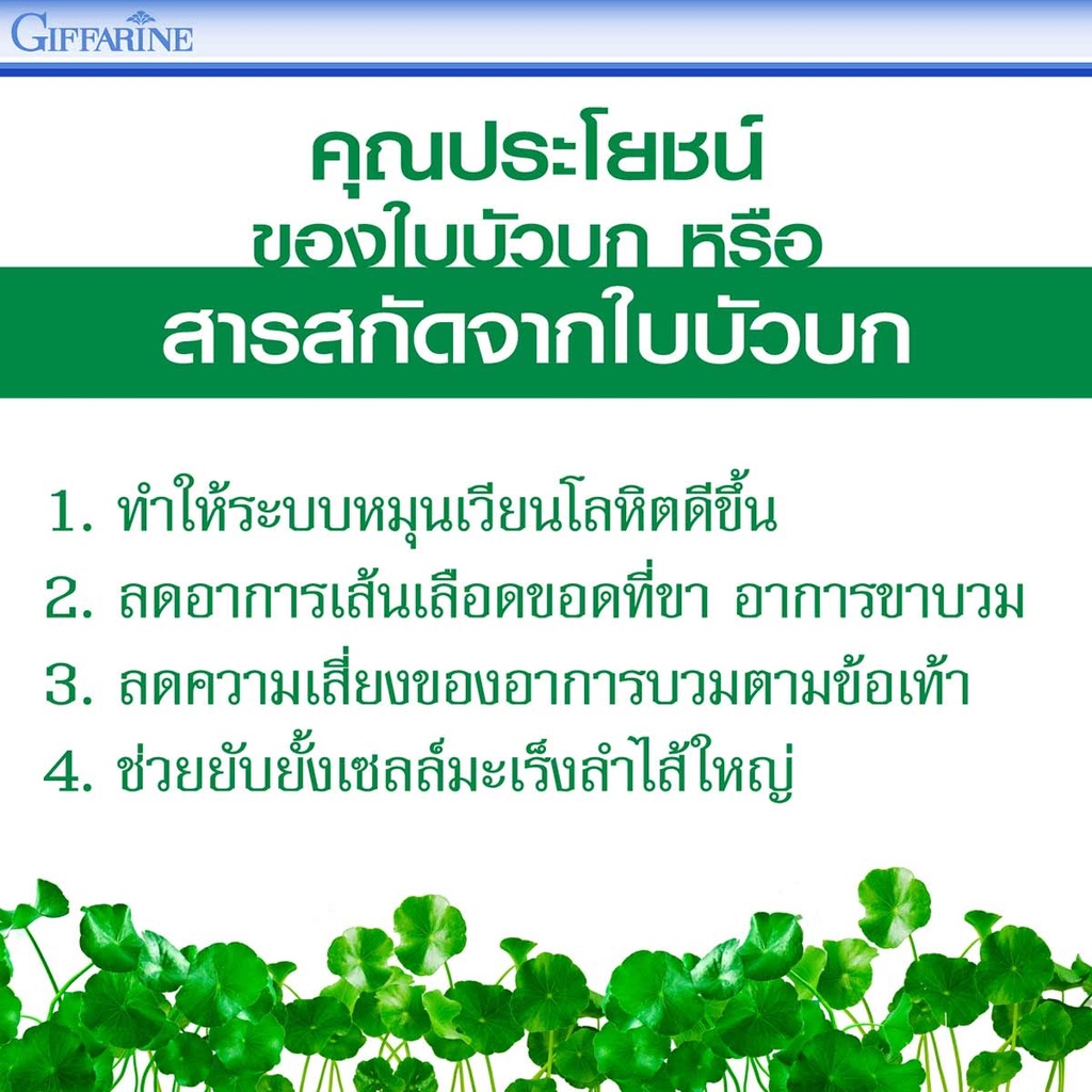 ใบบัวบก-กิฟฟารีน-โกตูล่า-ซี-อี-giffarine-gotula-c-e-สารสกัดจากใบบัวบก-ผสมวิตามินซีและวิตามินอี