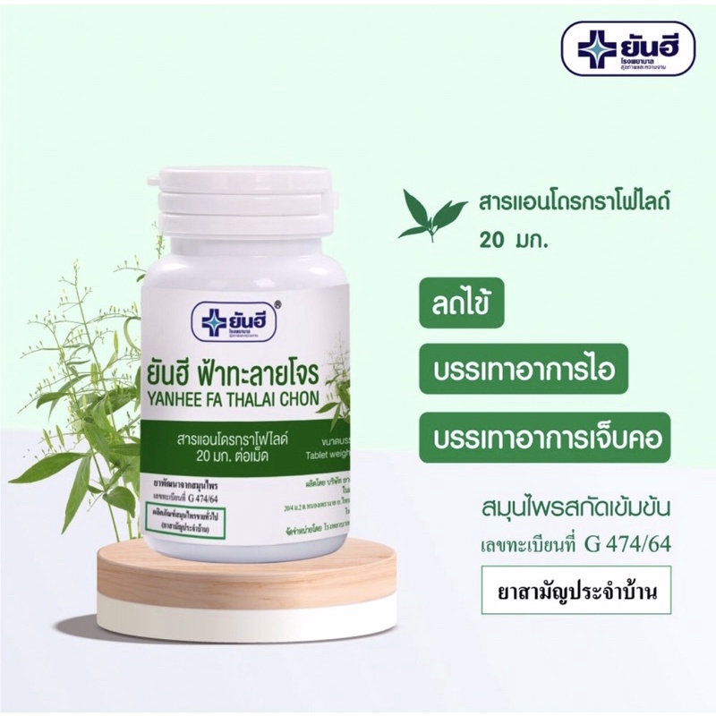 ภาพสินค้าฟ้าทะลายโจร ยันฮี A20มก.(andrographolide) จากร้าน yanhee.sell บน Shopee ภาพที่ 4