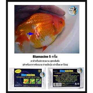 Bluenacine ขนาด 5 กรัม ยาสำหรับปลาสวยงาม สูตรเข้มข้น (สำหรับอาการท้องบวม ถ่ายเป็นวุ้น เน่าเปื่อย ตาโปน)
