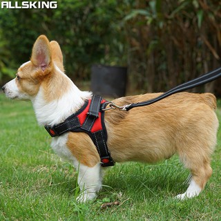 Allsking สายฝึกจูง สายจูงสุนัข เชือกจูงสุนัข เชือกฝึกจูงสุนัข ที่รัดอกสุนัข ที่รัดอก+สายลากจูงสุนัข เชือกรัดอก