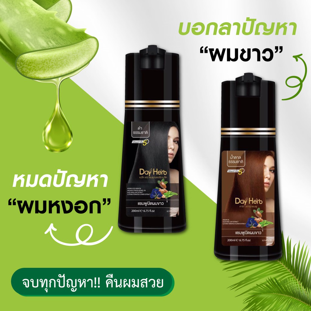 dayherb-แชมพูปิดผมขาว-สมุนไพรแท้-ปิดหงอก-ลดหงอก-ใน-5-นาที