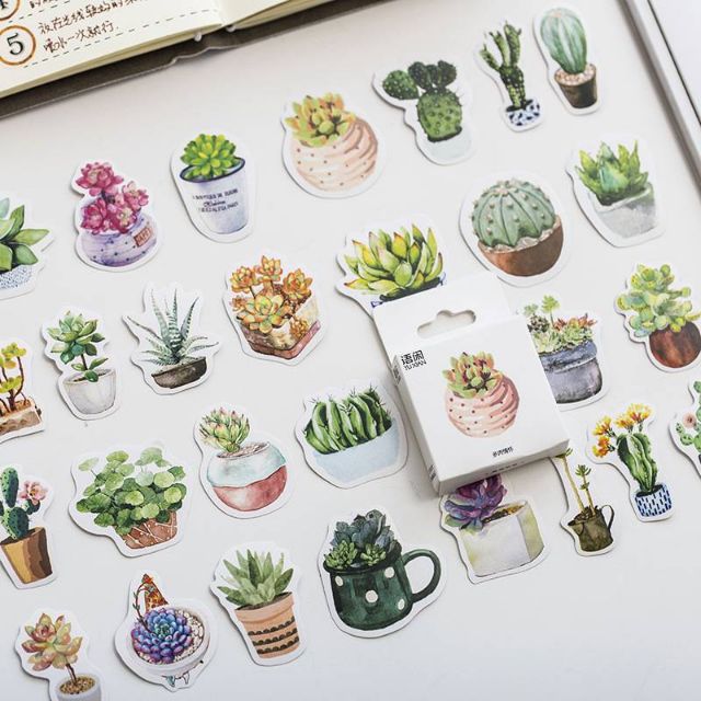 s001-cactus-stickers-50-pcs