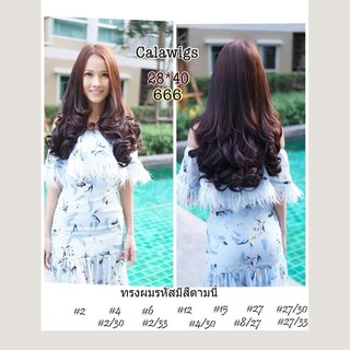 แฮร์พีช hairpiece  แฮร์พีชcalawigs  รหัส666กว้าง28cmยาว40cmชิ้นหนาพิเศษไหมด้านเหมือนผมจริง แฮร์พีชลอนปลายยาว