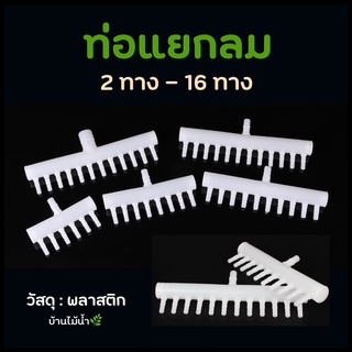 ท่อแยกลมพลาสติก สำหรับ แยกลมออกหลายทาง 2ทาง 3ทาง 4ทาง 6ทาง 8ทาง 10ทาง 12ทาง 16ทาง | บ้านไม้น้ำ🌿