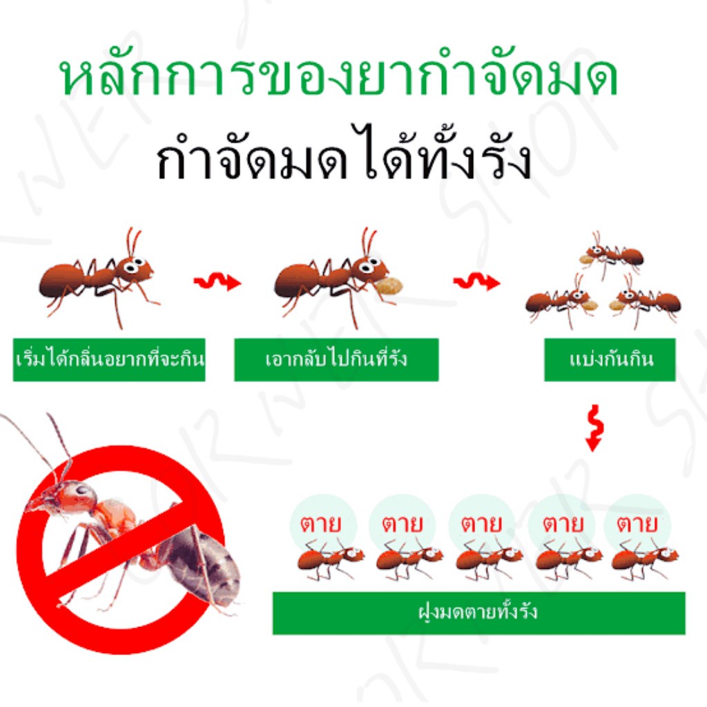 ฆ่ามดได้ทุกสายพันธุ์-greenkiller-5g-50ซอง-กำจัดมด-ยาฆ่ามด-เหยื่อกำจัดมด-ผงกำจัดมด-ยากำจัดมด-เห็นผลเร็ว-ปลอดภัยต่อ