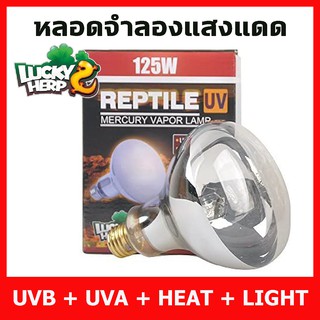 ภาพหน้าปกสินค้าLucky Herps UVA UVB Heat Lamp หลอดรวมยูวีและความร้อน ครบทุกอย่างในหลอดเดียว สำหรับสัตว์ทุกชนิดที่ต้องการยูวีทดแทนแสงแดด ที่เกี่ยวข้อง