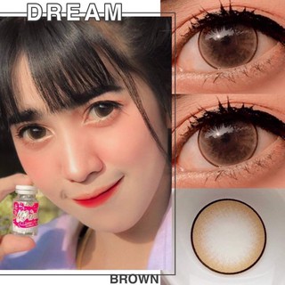 Wink Lens Dream Brown (1) บิ๊กอาย สีน้ำตาล น้ำตาล ขอบบาง คอนแทคเลนส์ Contact Lens ค่าสายตา สายตาปกติ แฟชั่น สายตาสั้น