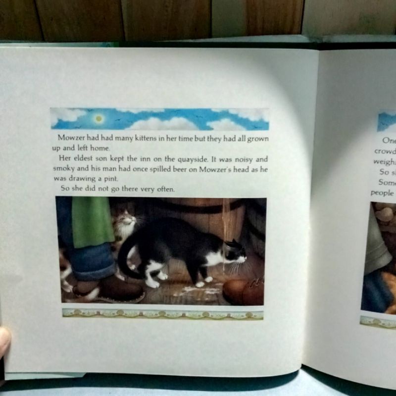 หนังสือปกแข็ง-the-mousehole-cat-มือสอง