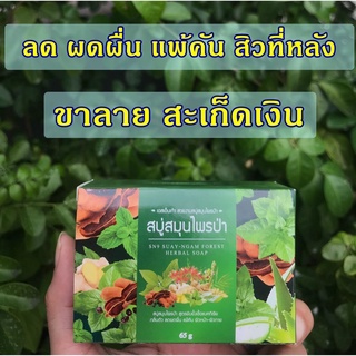 ภาพหน้าปกสินค้าสบู่สมุนไพรป่าSN9 สูตรสมุนไพรธรรมชาติ ลดผดผื่นคัน แก้แพ้ สิวที่หน้า สิวที่หลัง พุพอง ตุ่มเม็ด สะเก็ดเงิน (ขนาด 65 กรัม ) ที่เกี่ยวข้อง