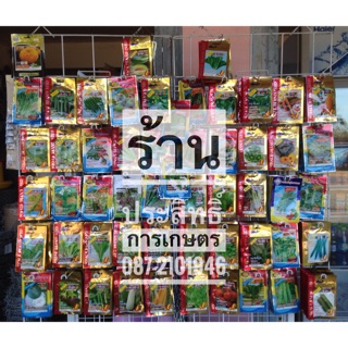 เมล็ดพันธุ์ผัก กินผล1 ซื้อ 10 แถม1 ยี่ห้อ เจียไต๋, ศรแดง, ปลาวาฬ, AAA ,333 เมล็ดผัก