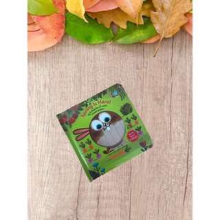 9786162610790 ฤดูใบไม้ผลิมาถึงแล้ว กระต่ายน้อย (สองภาษาไทย-อังกฤษ) (SPRING IS HERE LITTLE RABBIT!)
