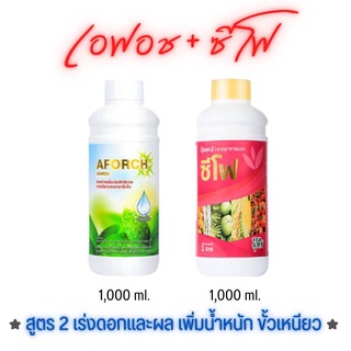 สารจับใบเอฟอช + ปุ๋ยน้ำซีโฟ ขนาด 1 ลิตร บำรุงดอกและผล เพิ่มน้ำหนัก รสชาติดี ป้องกันผลแตก ขั้วเหนียว