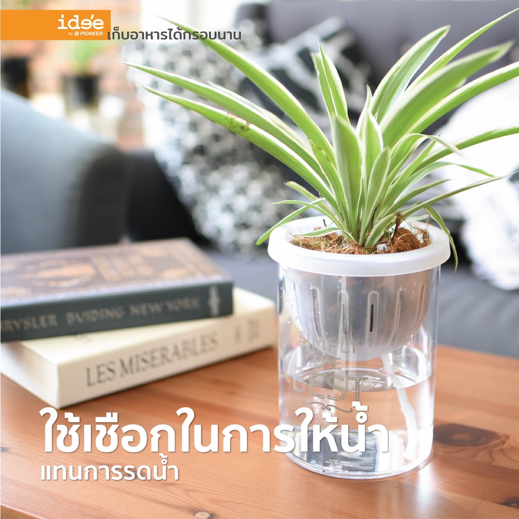 ภาพสินค้าide'e  NEW  กระถางต้นไม้รดน้ำอัตโนมัติ ขนาด 4 นิ้ว ทรงสูง รุ่น Self-watering (PN628LA) กระถางต้นไม้พลาสติก จากร้าน ideebypioneer บน Shopee ภาพที่ 1