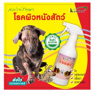สินค้า Kaililai สเปรย์รักษาขี้เรื้อน ยารักษาขี้เรื้อนหมา ผื่นแดง ​อาการคัน ผิวหนังอักเสบ ตุ่มคัน เชื้อรา โครผิวหนัง  ยาทาขี้เรื